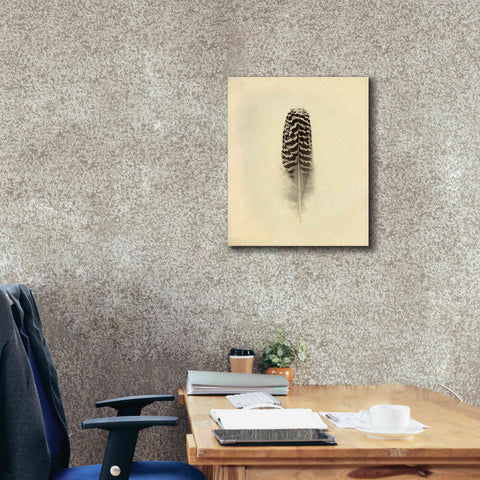 Image of 'Feather I Vintage' by Debra Van Swearingen, Canvas Wall Art,20 x 24