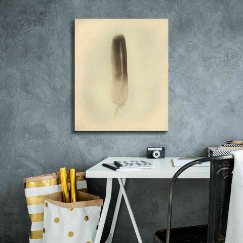 Image of 'Feather II Vintage' by Debra Van Swearingen, Canvas Wall Art,20 x 24
