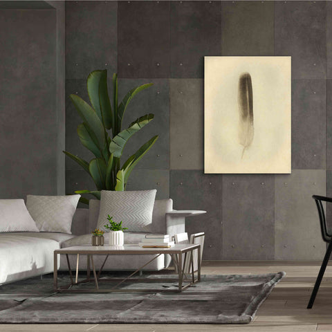 Image of 'Feather II Vintage' by Debra Van Swearingen, Canvas Wall Art,40 x 54