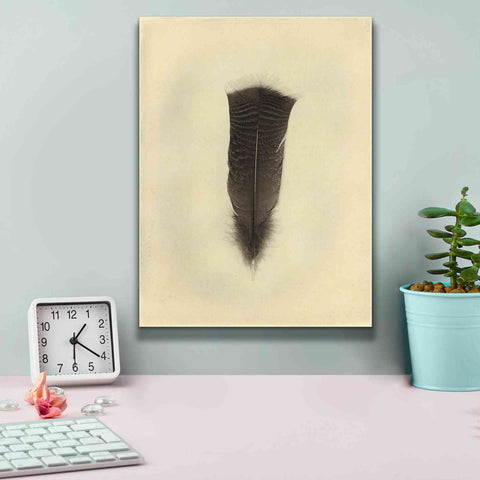 Image of 'Feather III Vintage' by Debra Van Swearingen, Canvas Wall Art,12 x 16