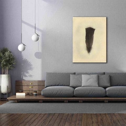 Image of 'Feather III Vintage' by Debra Van Swearingen, Canvas Wall Art,40 x 54