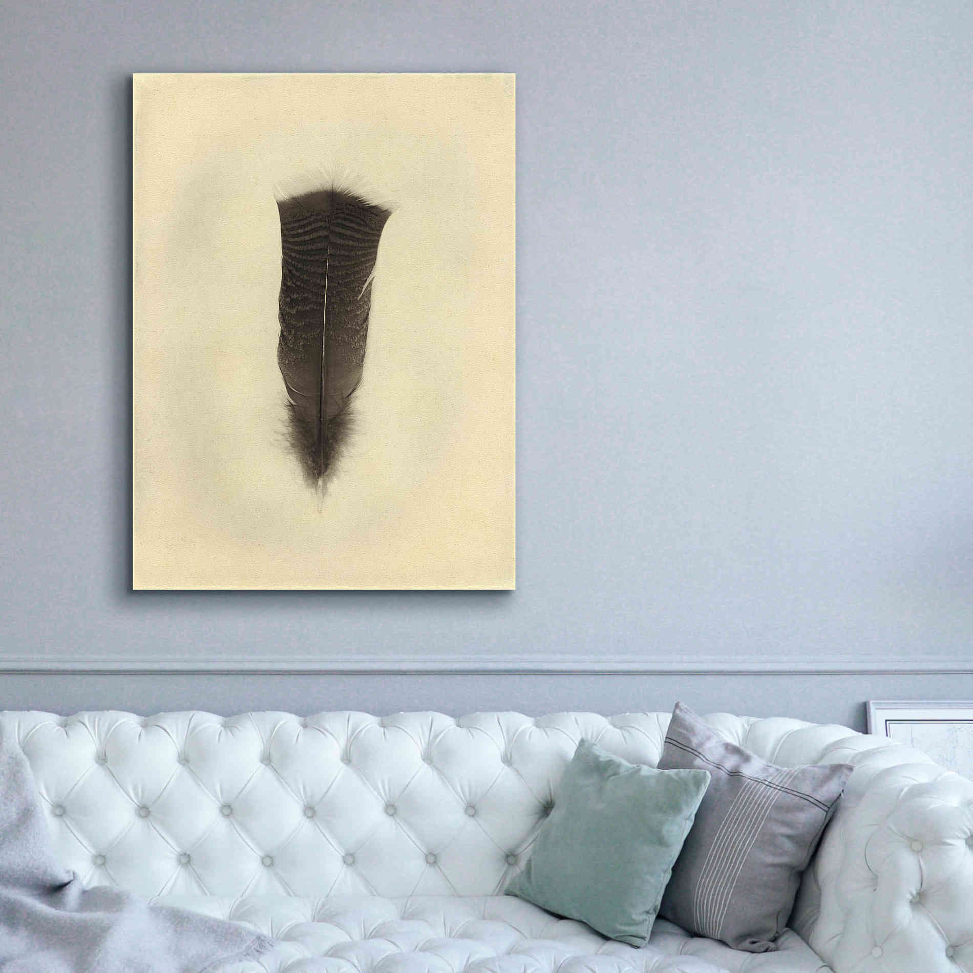 'Feather III Vintage' by Debra Van Swearingen, Canvas Wall Art,40 x 54