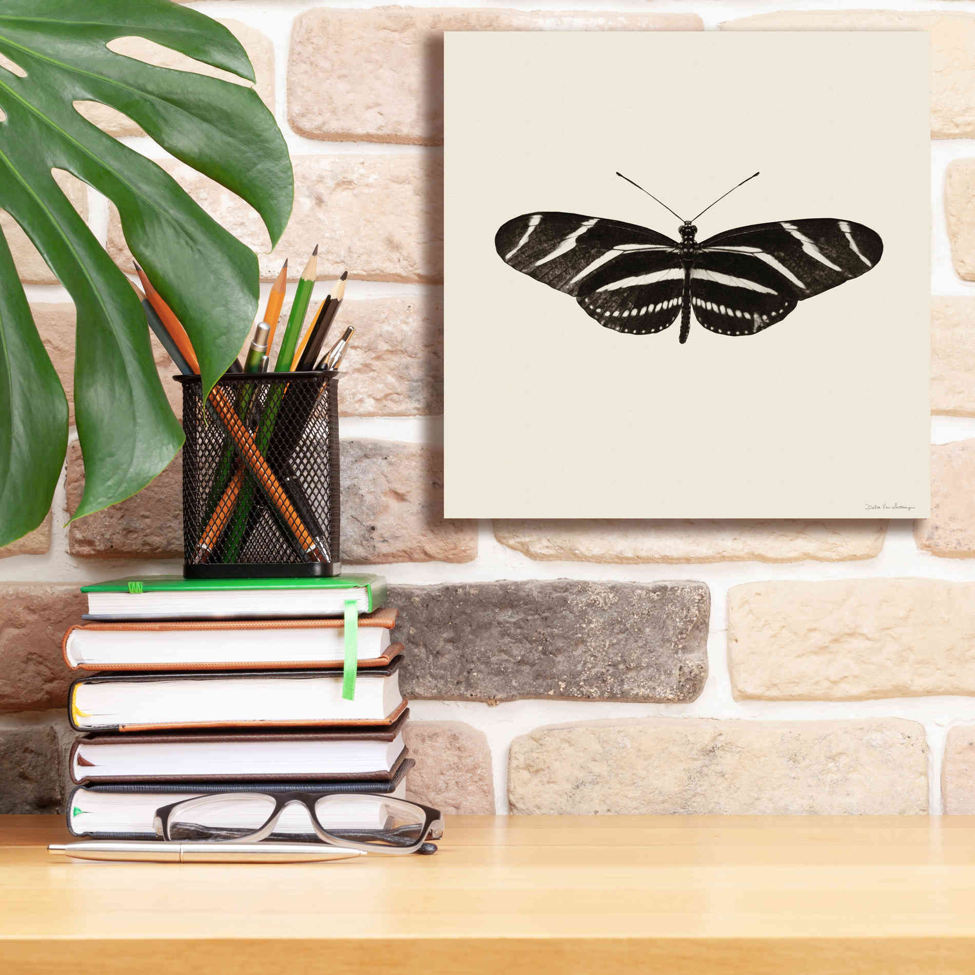 'Butterfly IX B&W' by Debra Van Swearingen, Canvas Wall Art,12 x 12