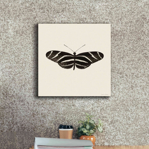 Image of 'Butterfly IX B&W' by Debra Van Swearingen, Canvas Wall Art,18 x 18