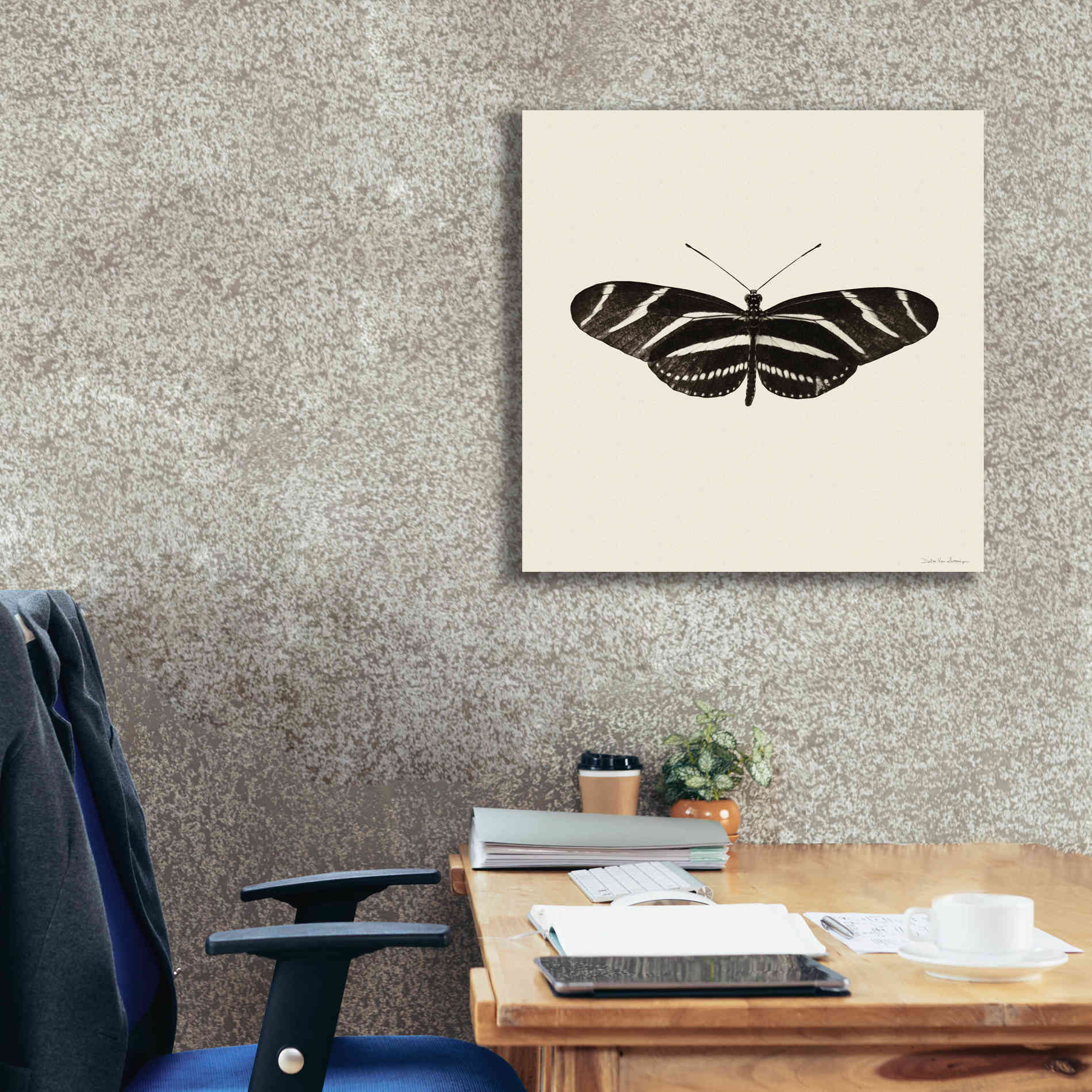 'Butterfly IX B&W' by Debra Van Swearingen, Canvas Wall Art,26 x 26