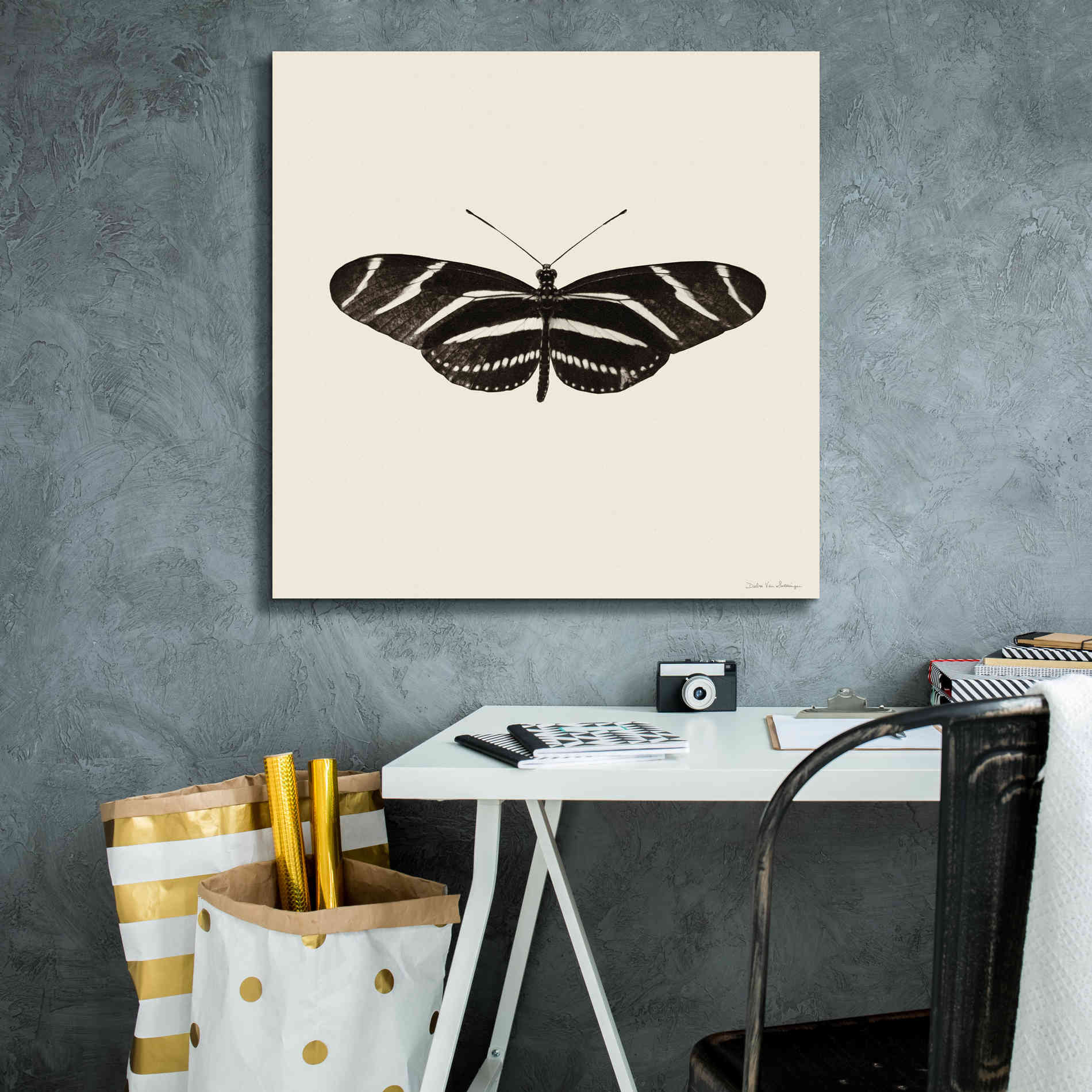 'Butterfly IX B&W' by Debra Van Swearingen, Canvas Wall Art,26 x 26