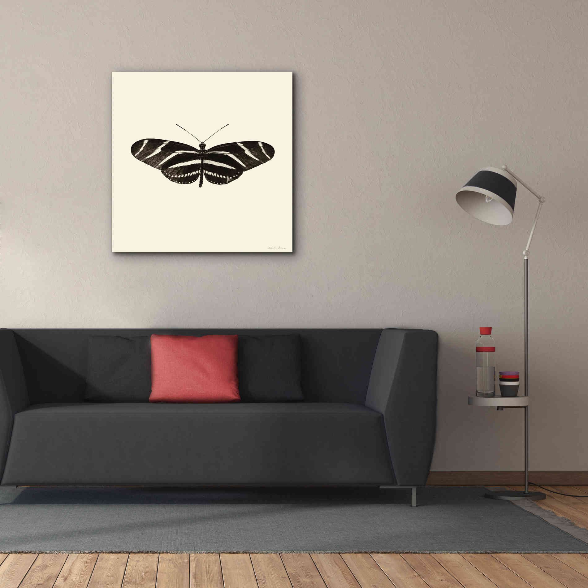 'Butterfly IX B&W' by Debra Van Swearingen, Canvas Wall Art,37 x 37