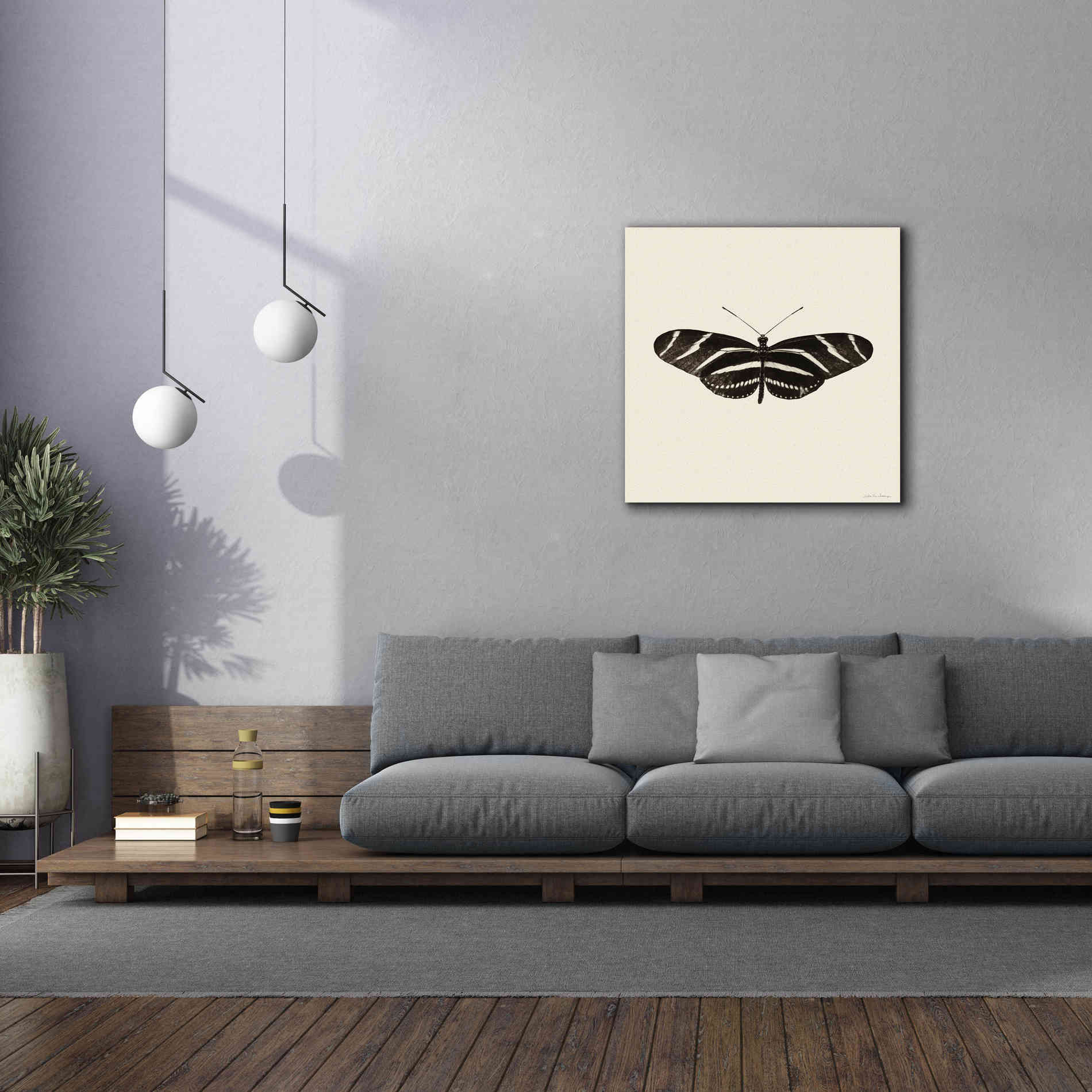 'Butterfly IX B&W' by Debra Van Swearingen, Canvas Wall Art,37 x 37