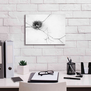 'Nest and Branch I' by Debra Van Swearingen, Canvas Wall Art,16 x 12