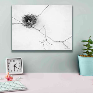 'Nest and Branch I' by Debra Van Swearingen, Canvas Wall Art,16 x 12