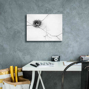 'Nest and Branch I' by Debra Van Swearingen, Canvas Wall Art,16 x 12