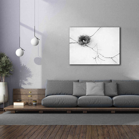 Image of 'Nest and Branch I' by Debra Van Swearingen, Canvas Wall Art,54 x 40