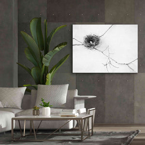 'Nest and Branch I' by Debra Van Swearingen, Canvas Wall Art,54 x 40