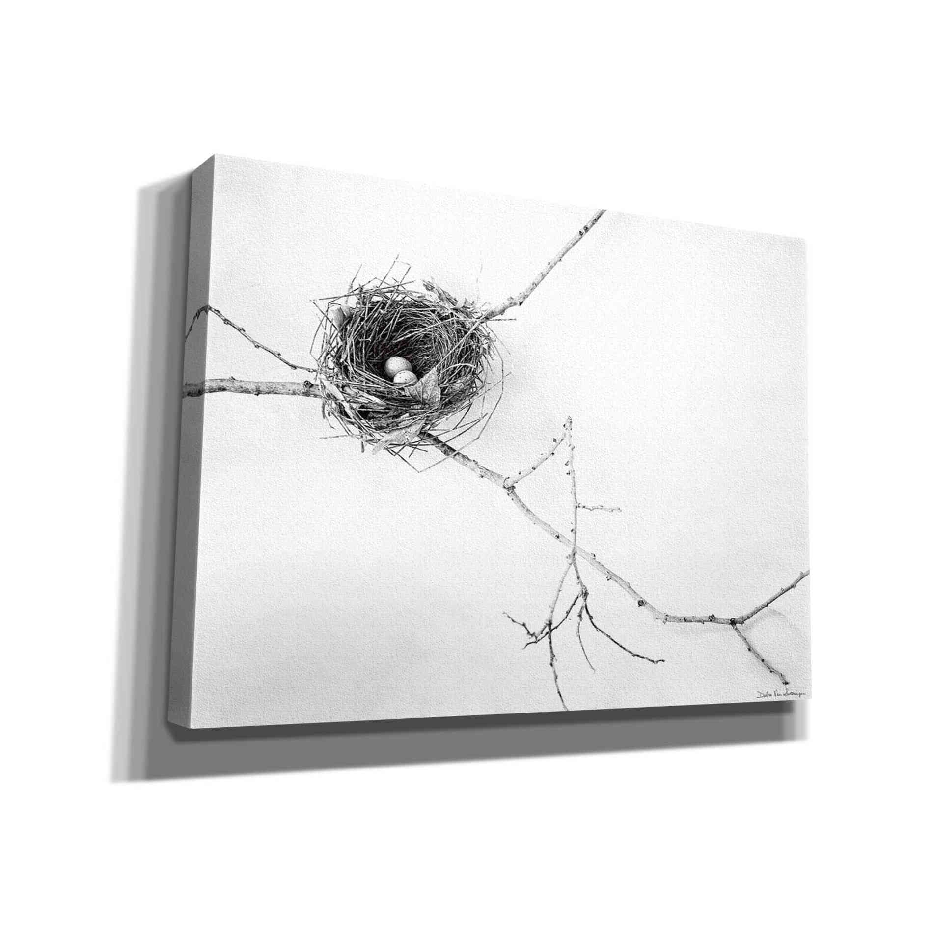 'Nest and Branch I' by Debra Van Swearingen, Canvas Wall Art,16x12x1.1x0,26x18x1.1x0,34x26x1.74x0,54x40x1.74x0