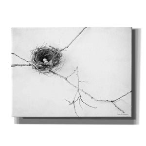 'Nest and Branch I' by Debra Van Swearingen, Canvas Wall Art,16x12x1.1x0,26x18x1.1x0,34x26x1.74x0,54x40x1.74x0