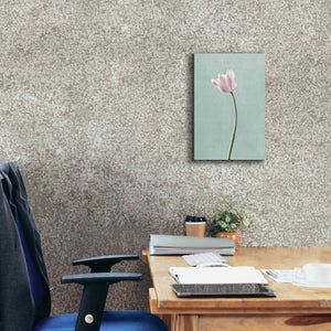 'Light Tulips I Harbor Gray' by Debra Van Swearingen, Canvas Wall Art,12 x 18