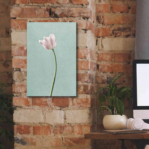'Light Tulips I Harbor Gray' by Debra Van Swearingen, Canvas Wall Art,12 x 18