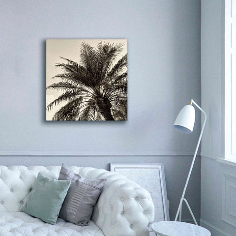 Image of 'Palm Tree Sepia I' by Debra Van Swearingen, Canvas Wall Art,37 x 37