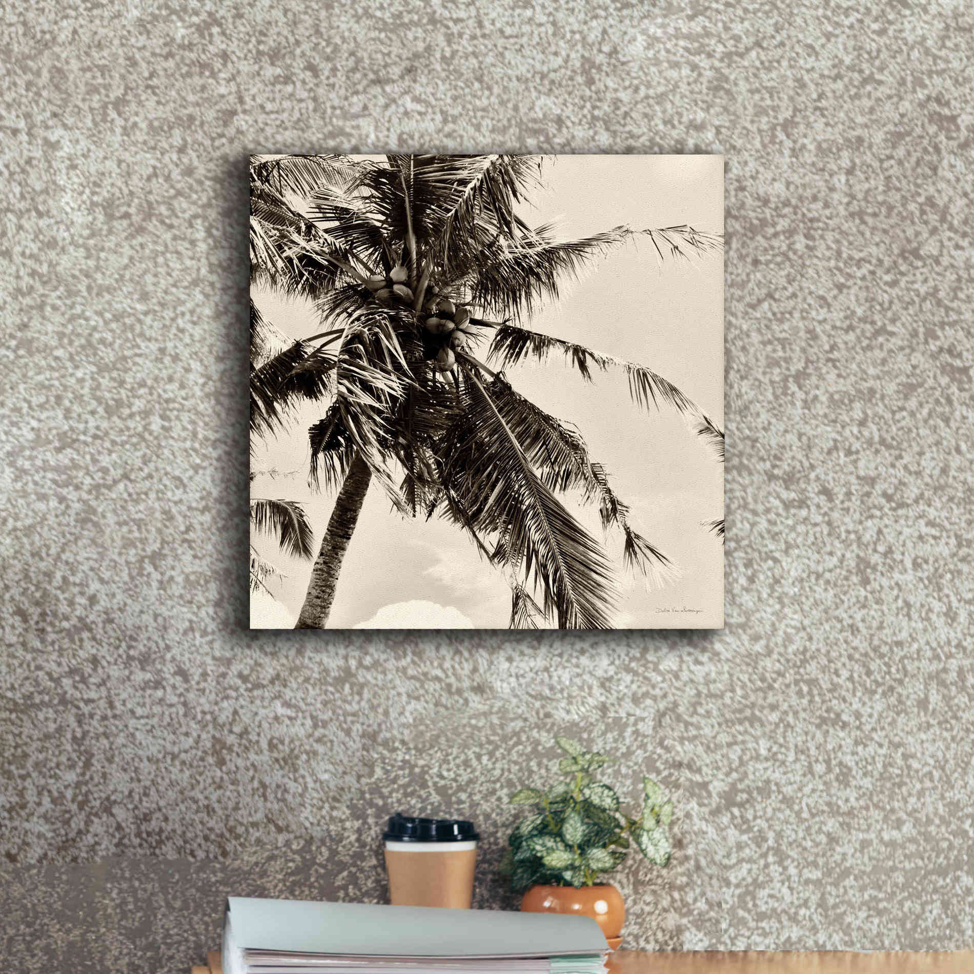 'Palm Tree Sepia II' by Debra Van Swearingen, Canvas Wall Art,18 x 18