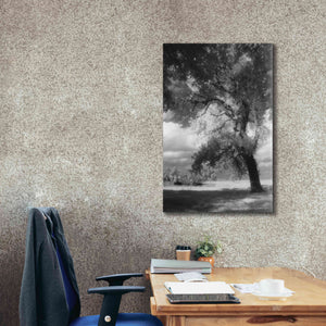'Dreamscape' by Debra Van Swearingen, Canvas Wall Art,26 x 40