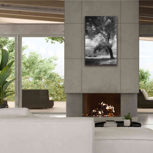 'Dreamscape' by Debra Van Swearingen, Canvas Wall Art,26 x 40