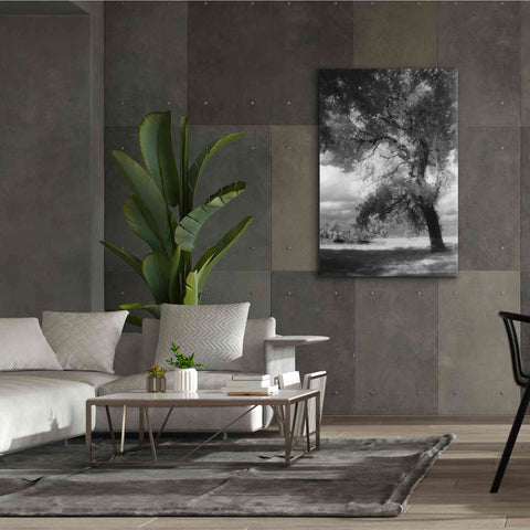 Image of 'Dreamscape' by Debra Van Swearingen, Canvas Wall Art,40 x 60