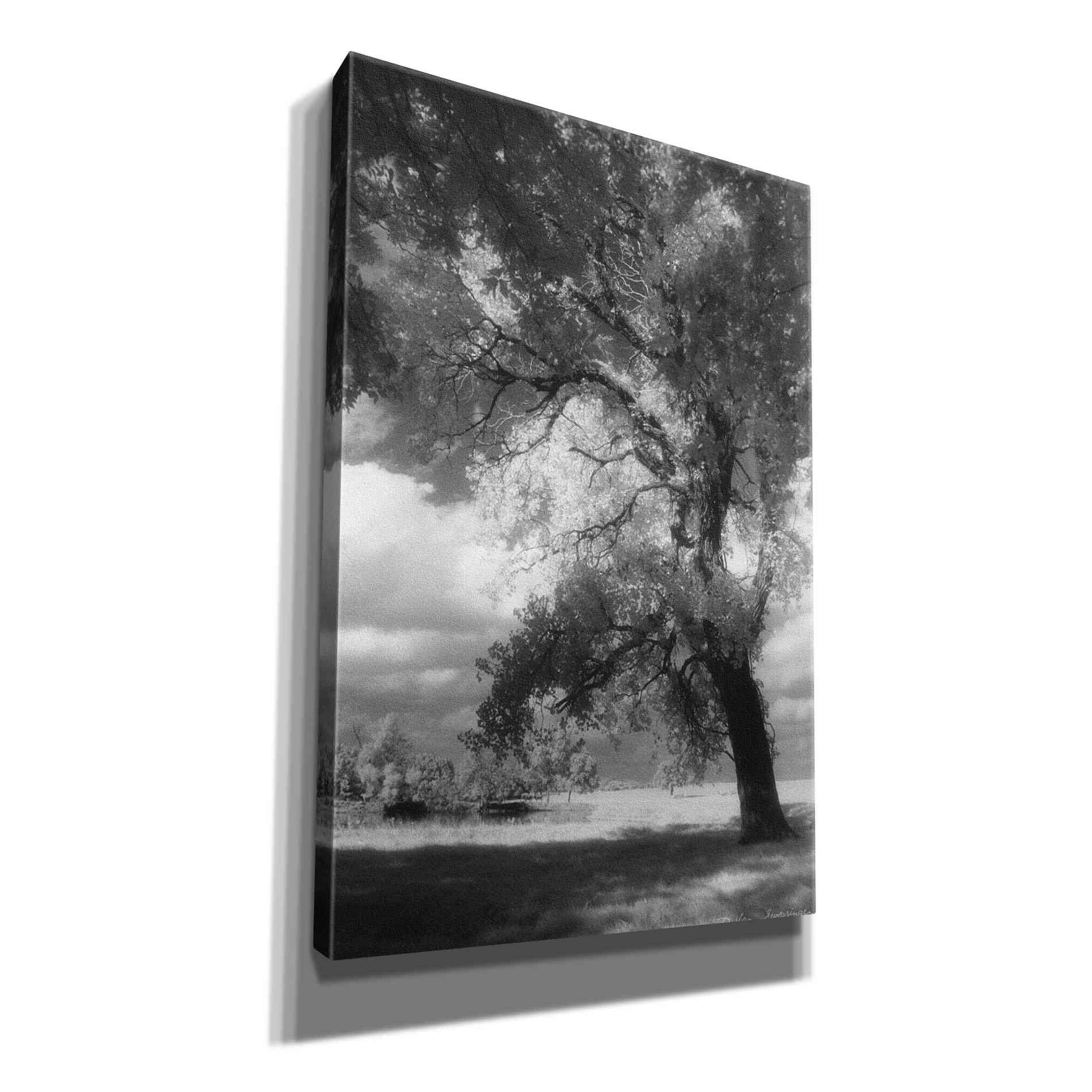 'Dreamscape' by Debra Van Swearingen, Canvas Wall Art,12x18x1.1x0,18x26x1.1x0,26x40x1.74x0,40x60x1.74x0