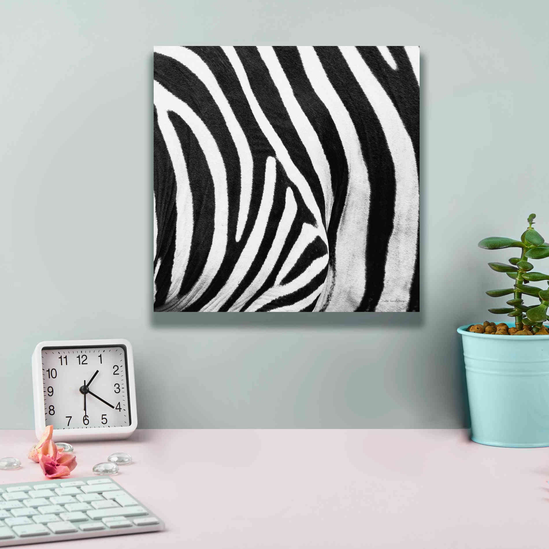 'Zebra IV' by Debra Van Swearingen, Canvas Wall Art,12 x 12
