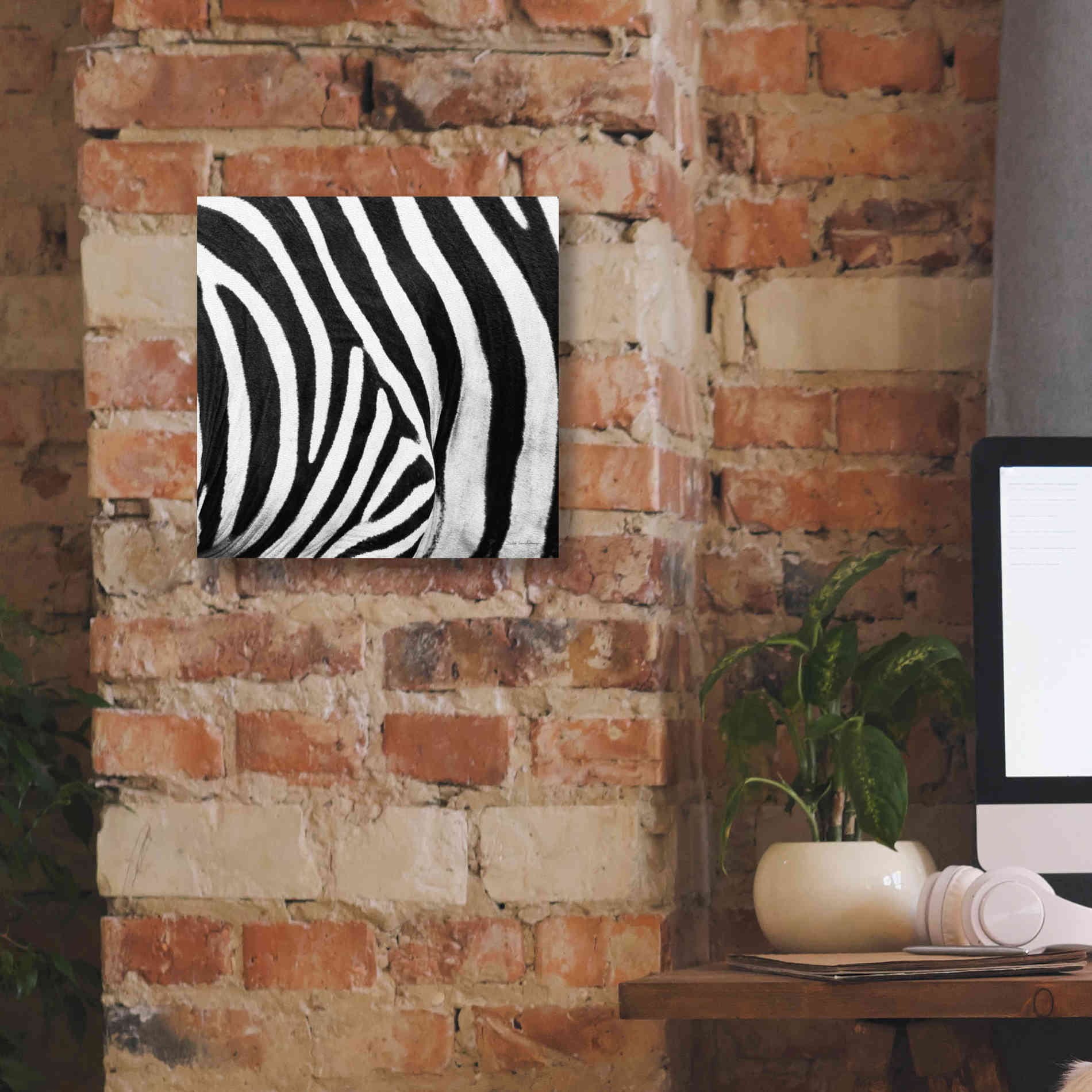 'Zebra IV' by Debra Van Swearingen, Canvas Wall Art,12 x 12