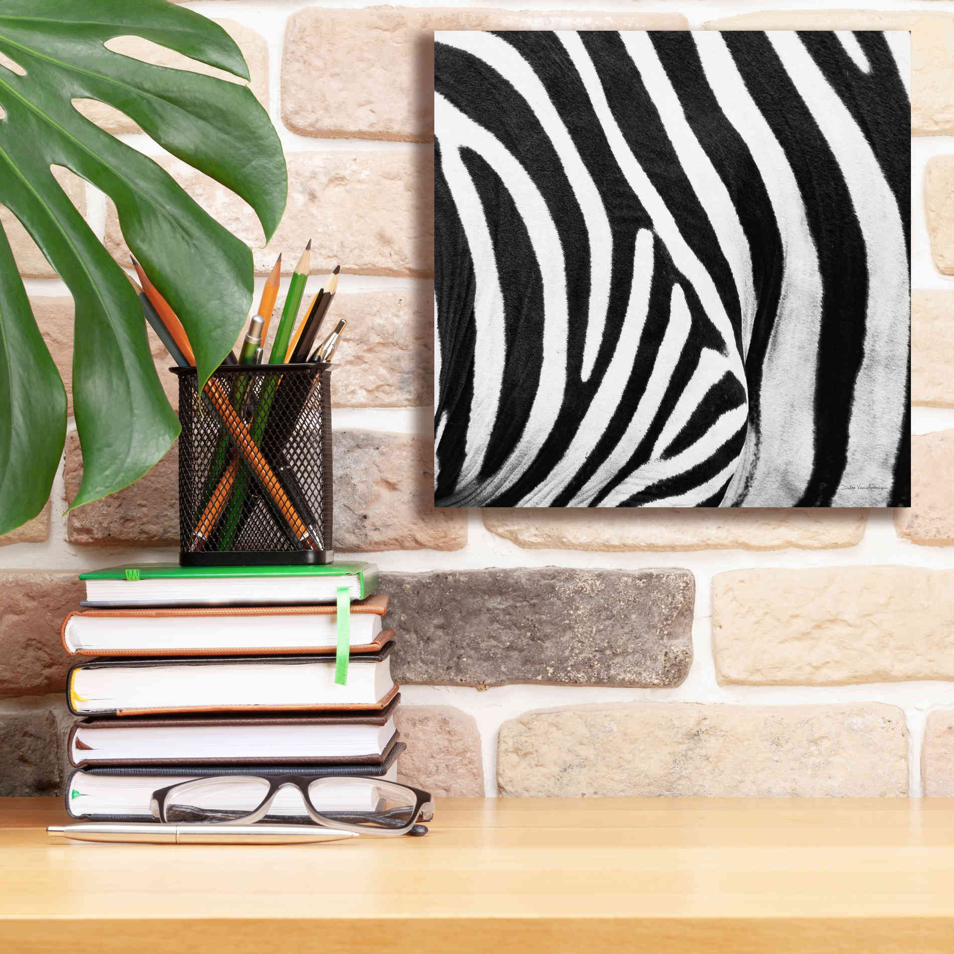 'Zebra IV' by Debra Van Swearingen, Canvas Wall Art,12 x 12
