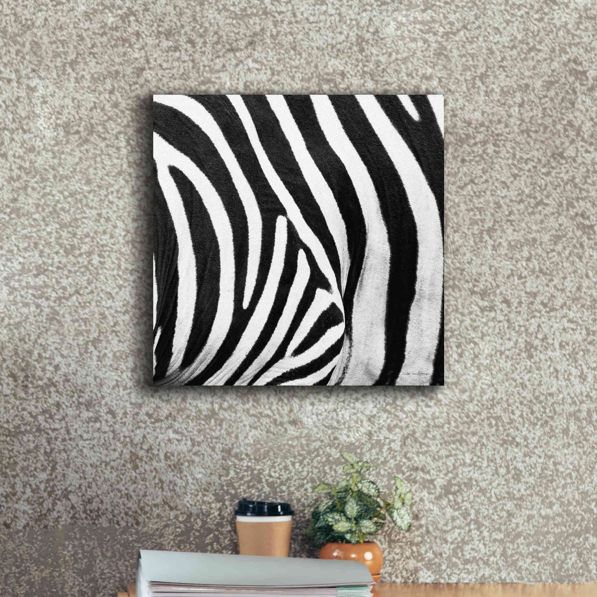 'Zebra IV' by Debra Van Swearingen, Canvas Wall Art,18 x 18