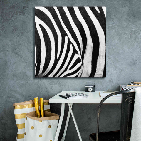 Image of 'Zebra IV' by Debra Van Swearingen, Canvas Wall Art,26 x 26