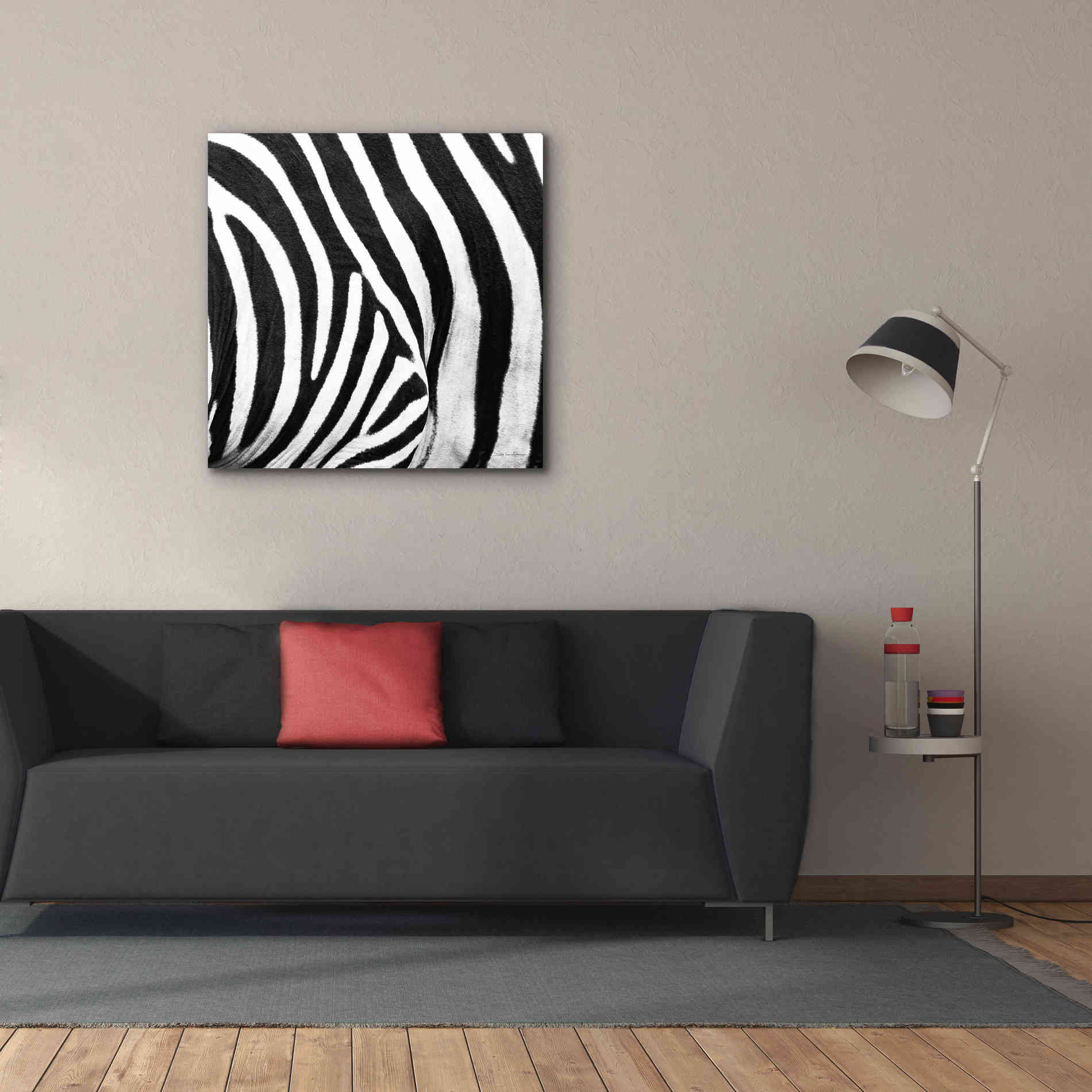 'Zebra IV' by Debra Van Swearingen, Canvas Wall Art,37 x 37
