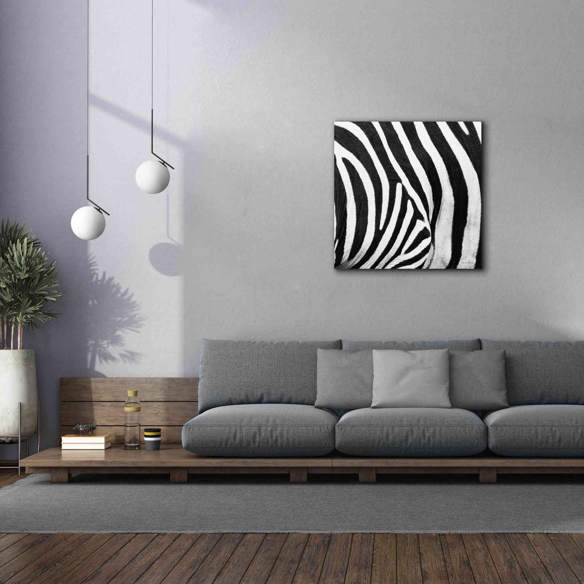 'Zebra IV' by Debra Van Swearingen, Canvas Wall Art,37 x 37