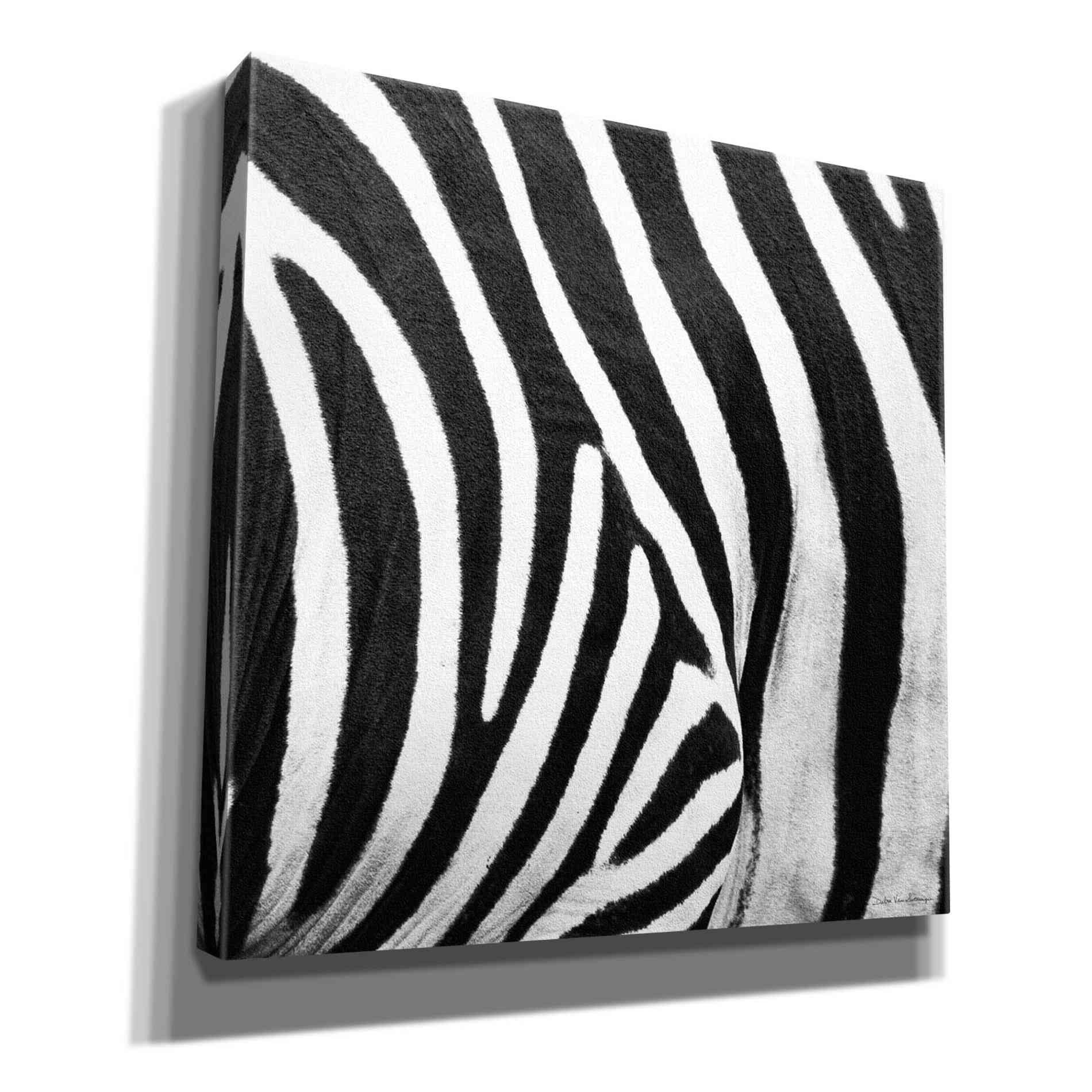 'Zebra IV' by Debra Van Swearingen, Canvas Wall Art,12x12x1.1x0,18x18x1.1x0,26x26x1.74x0,37x37x1.74x0