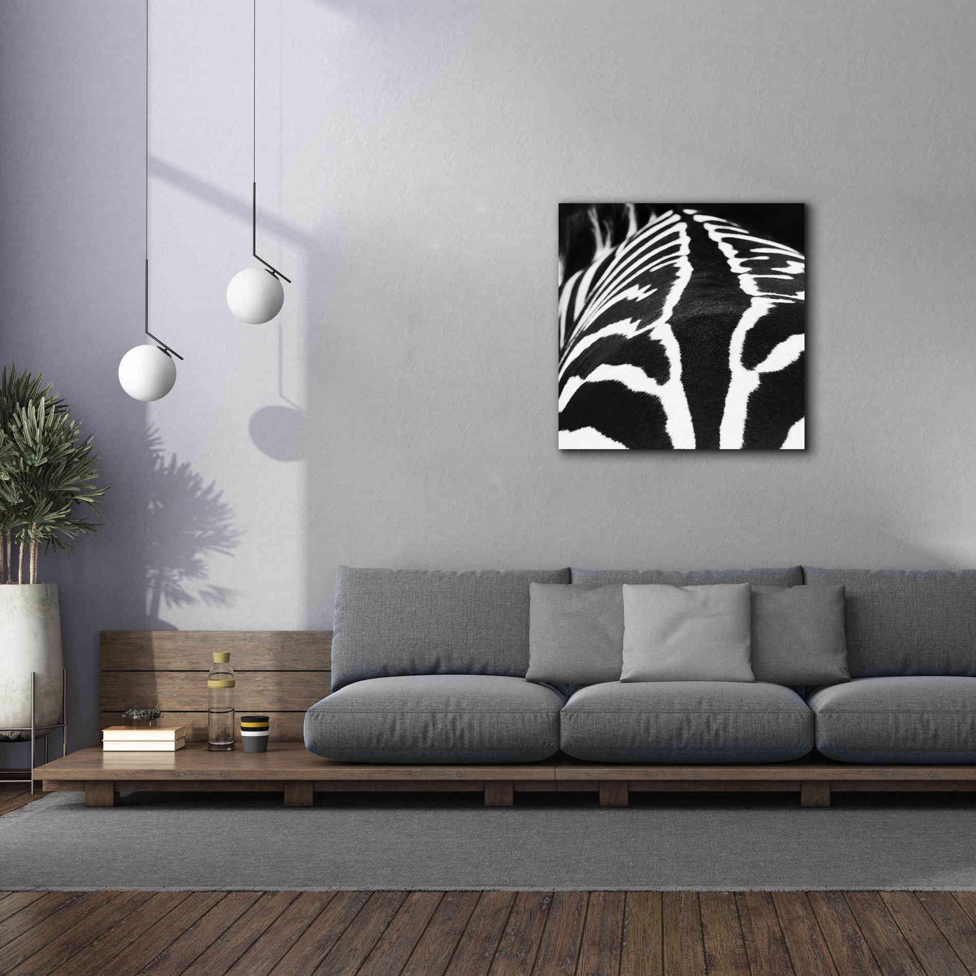 'Zebra V' by Debra Van Swearingen, Canvas Wall Art,37 x 37