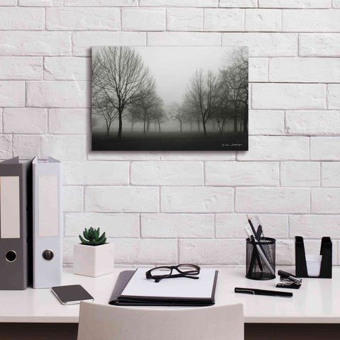 Image of 'Morning Mist' by Debra Van Swearingen, Canvas Wall Art,18 x 12