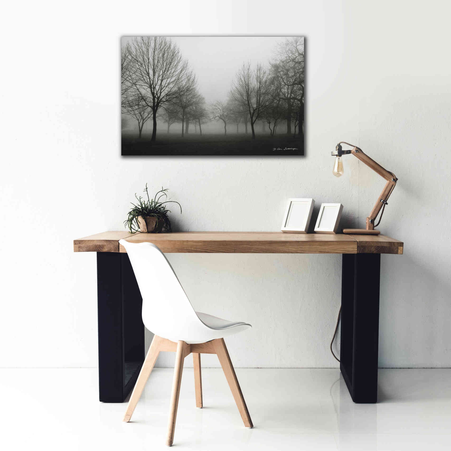 'Morning Mist' by Debra Van Swearingen, Canvas Wall Art,40 x 26