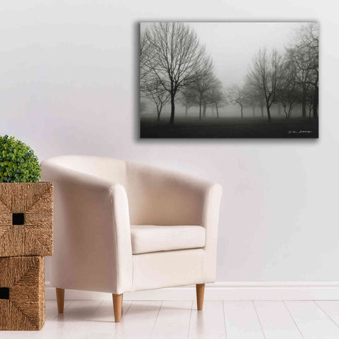 Image of 'Morning Mist' by Debra Van Swearingen, Canvas Wall Art,40 x 26