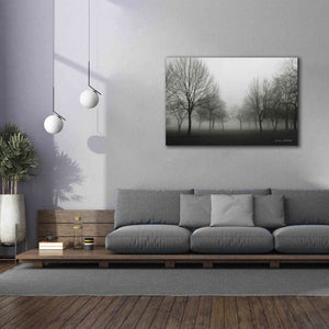 'Morning Mist' by Debra Van Swearingen, Canvas Wall Art,60 x 40