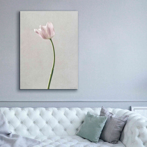 Image of 'Light Tulips I' by Debra Van Swearingen, Canvas Wall Art,40 x 54