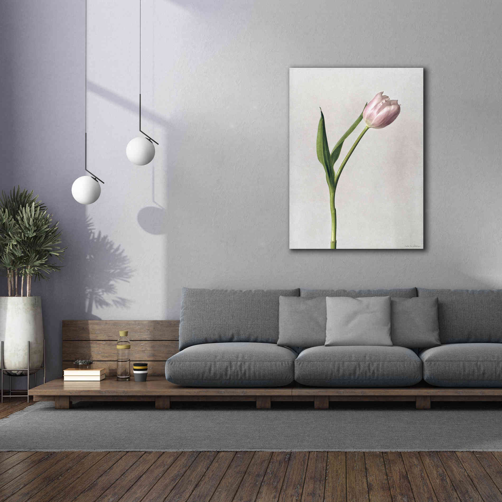 'Light Tulips II' by Debra Van Swearingen, Canvas Wall Art,40 x 54