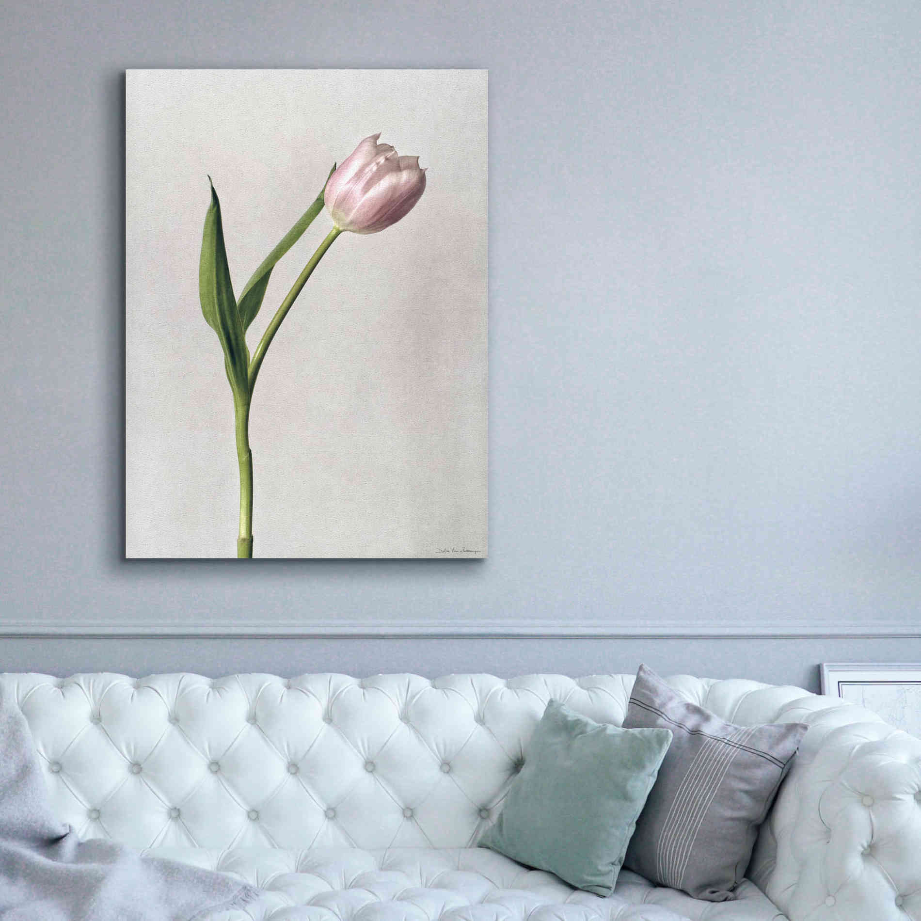 'Light Tulips II' by Debra Van Swearingen, Canvas Wall Art,40 x 54