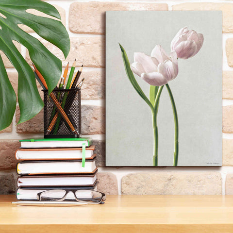 Image of 'Light Tulips III' by Debra Van Swearingen, Canvas Wall Art,12 x 16
