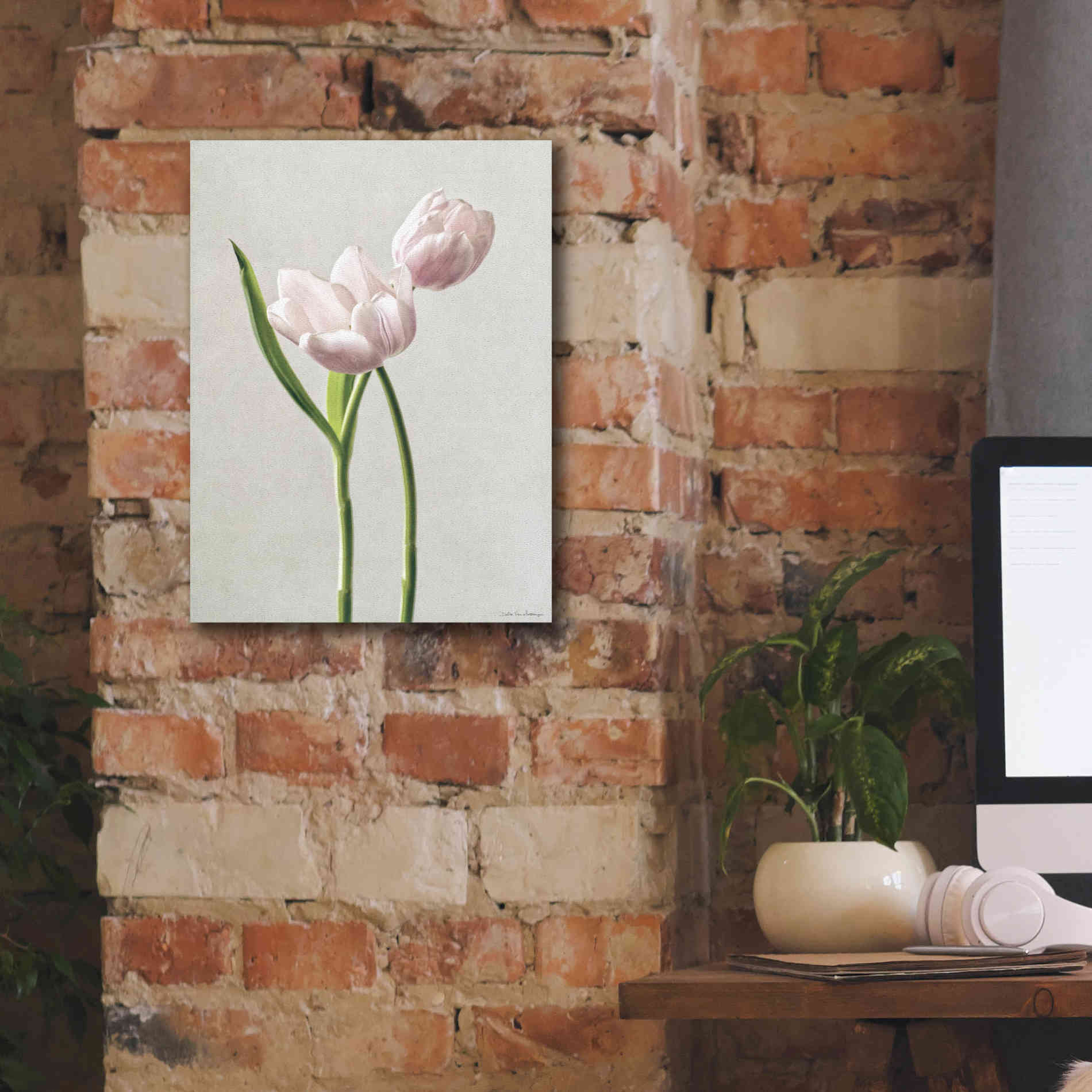 'Light Tulips III' by Debra Van Swearingen, Canvas Wall Art,12 x 16