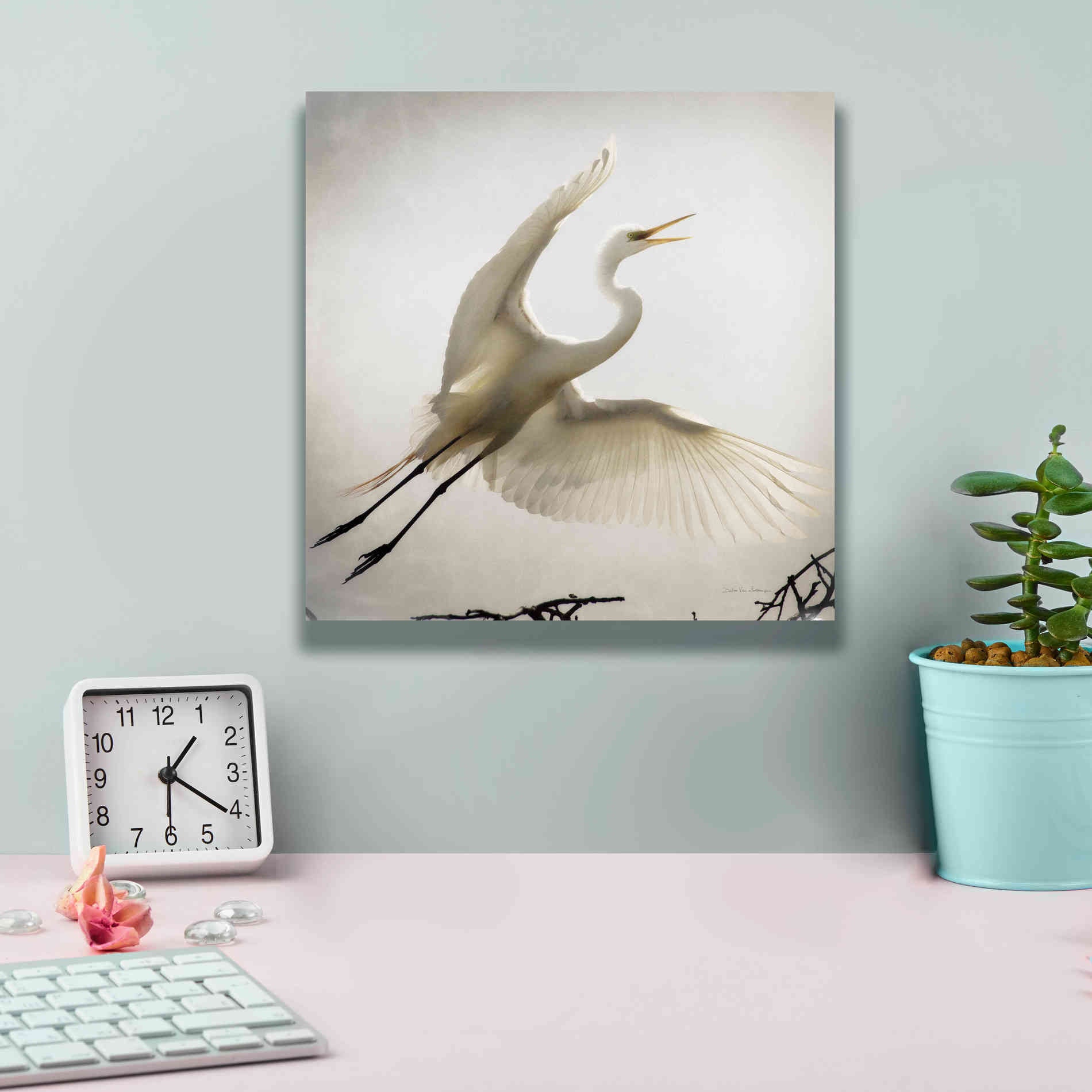 'Emergence' by Debra Van Swearingen, Canvas Wall Art,12 x 12
