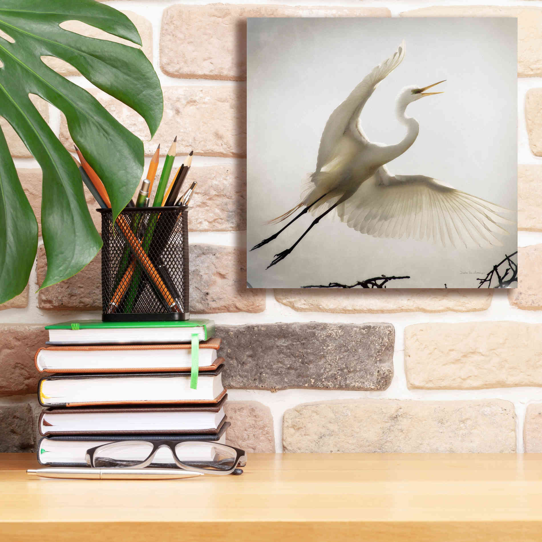 'Emergence' by Debra Van Swearingen, Canvas Wall Art,12 x 12