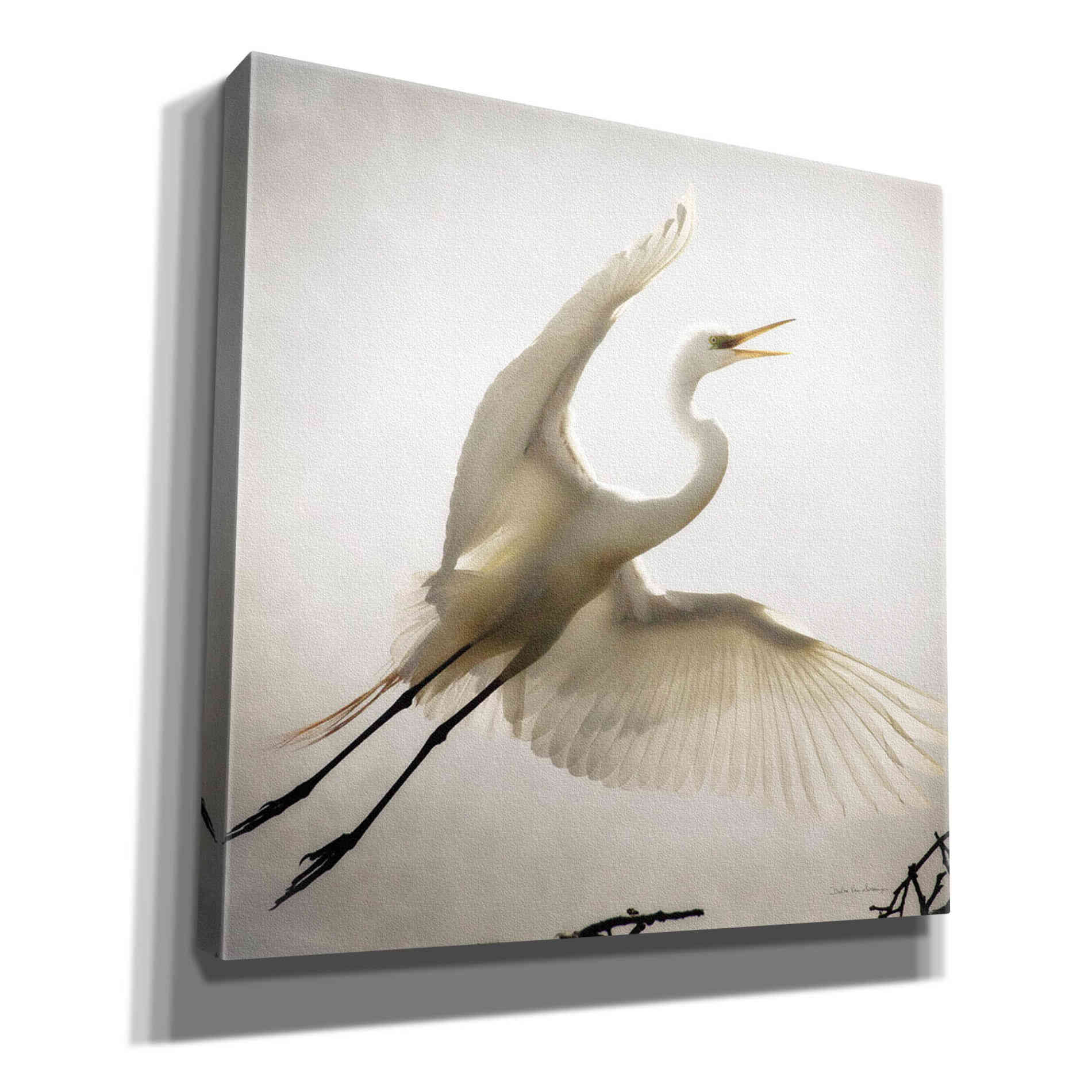 'Emergence' by Debra Van Swearingen, Canvas Wall Art,12x12x1.1x0,18x18x1.1x0,26x26x1.74x0,37x37x1.74x0