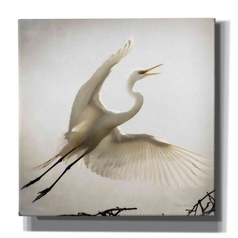 Image of 'Emergence' by Debra Van Swearingen, Canvas Wall Art,12x12x1.1x0,18x18x1.1x0,26x26x1.74x0,37x37x1.74x0