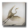 'Emergence' by Debra Van Swearingen, Canvas Wall Art,12x12x1.1x0,18x18x1.1x0,26x26x1.74x0,37x37x1.74x0